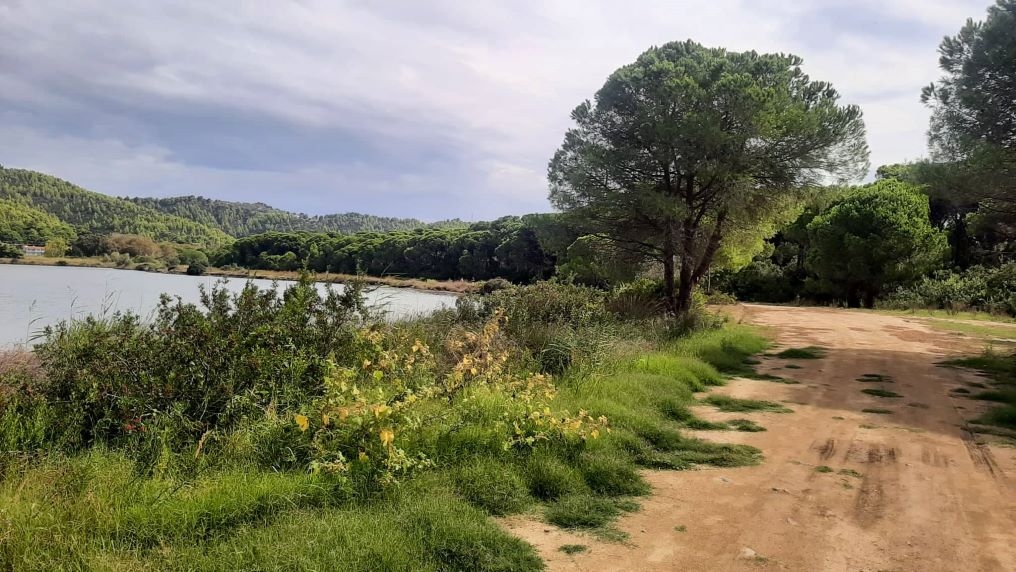 Αυτή είναι η σημερινή εικόνα της διαδρομής στην λιμνοθάλασσα της Στροφυλιάς, η οποία θα συμπληρωθεί με ξύλινο ντεκ, για πιο εύκολη κύλιση των αναπηρικών αμαξιδίων.