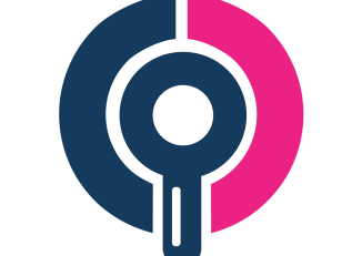 Λογότυπο Pronoise.org Μπλε Pin Finder only